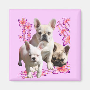 Aimant Bulldog français avec trois bulldogs en rose