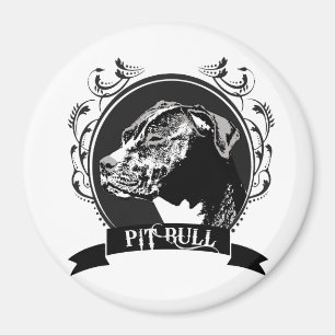 AIMANT BULLE DE PIT (3)