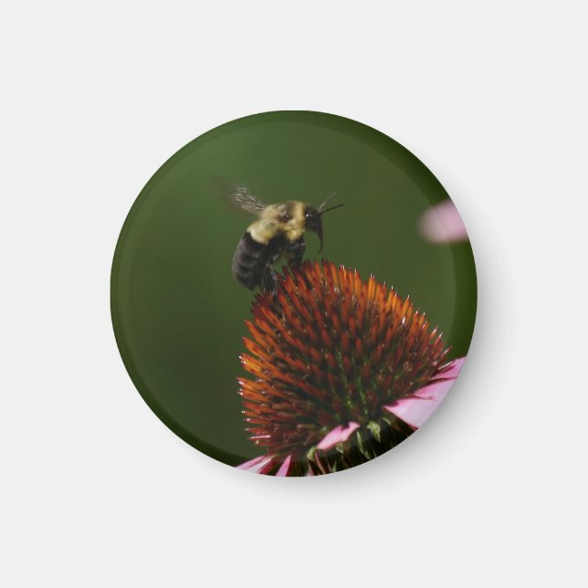 Aimant Bumble Bee (Devant)