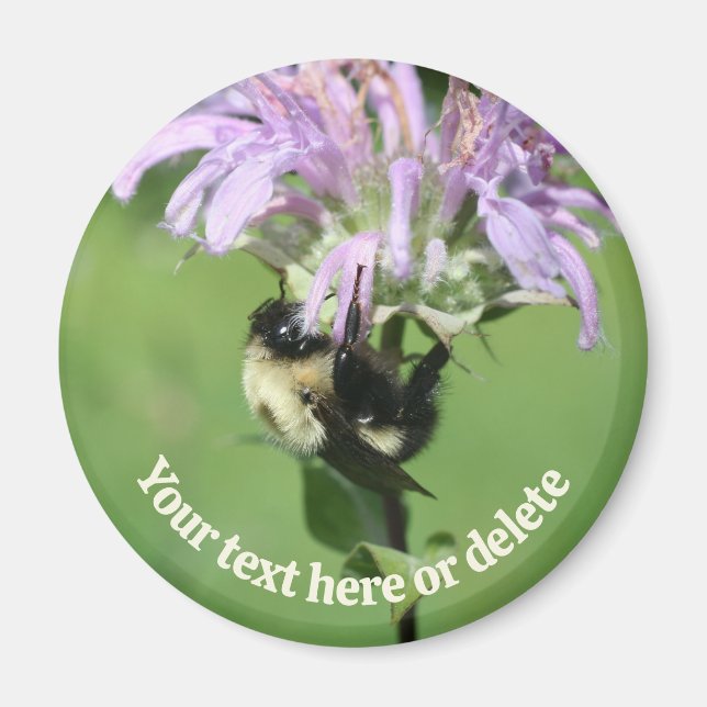 Aimant Bumble Bee On Bee Balm Flower Personalized (Devant)
