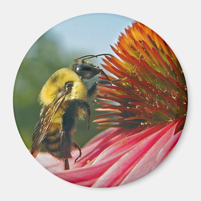 Aimant Bumble Bee With Sky Heart (Devant)