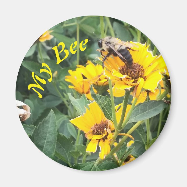 Aimant Bumblebee pollinise une fleur jaune (Devant)