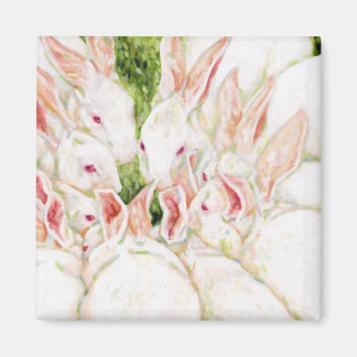 Aimant Bunnies blancs