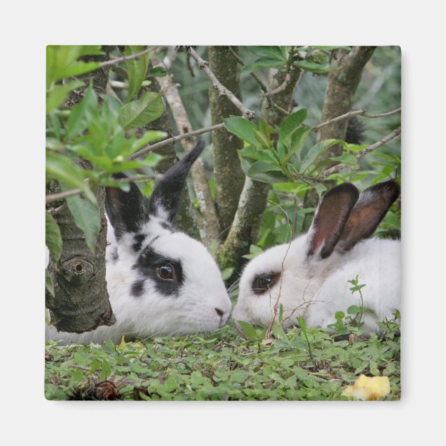 Aimant Bunny Couple (Devant)