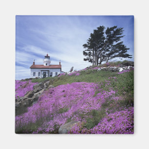 Aimant CA, Crescent City, phare de Battery Point avec