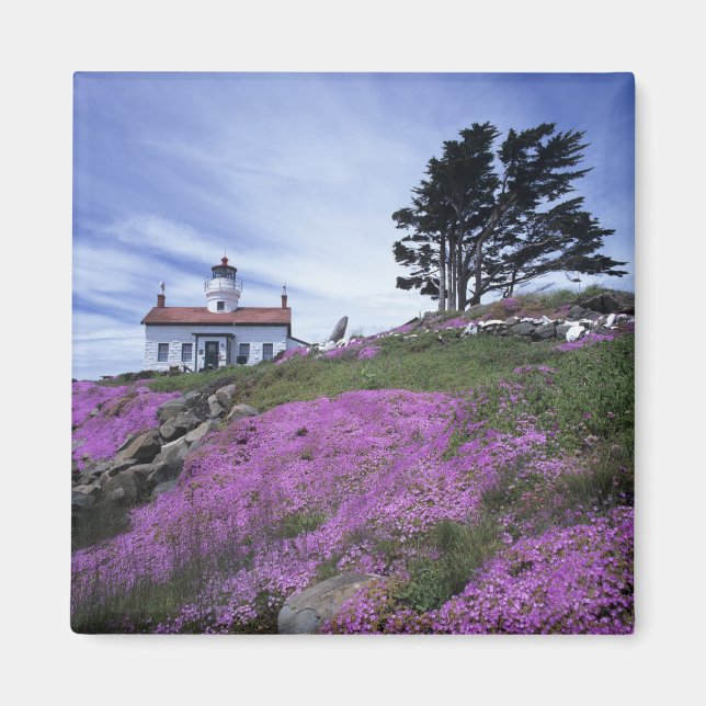 Aimant CA, Crescent City, phare de Battery Point avec (Devant)