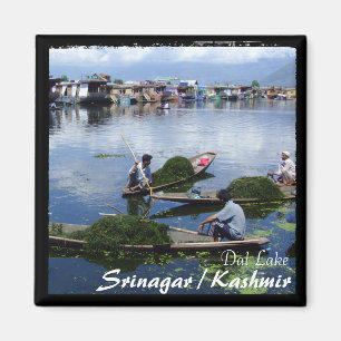 Aimant Cachemire, Srinagar - Bateaux Shikara (Magnet)