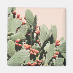 Aimant Cactus de poire de Prickley