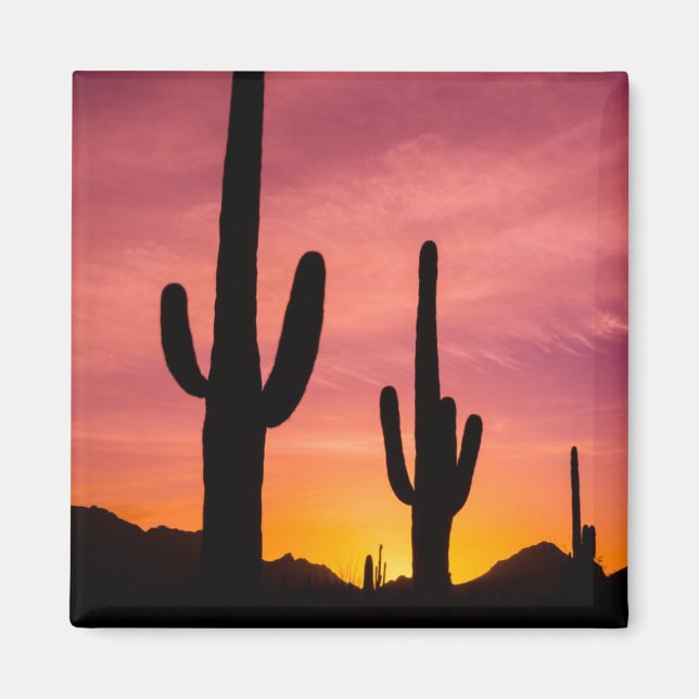 Aimant Cactus du Saguaro au lever du soleil, Arizona (Devant)