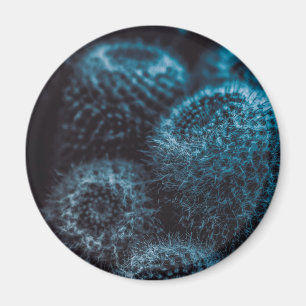 Aimant Cactus foncé