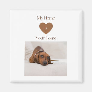 Aimant Cadeau d'accueil pour amateur de chiens Doux Dachs