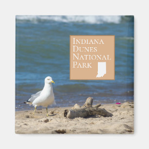 Aimant Cadeau de parc national de dunes de l'Indiana