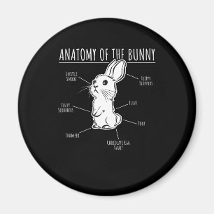 Aimant Cadeau lapin  Anatomie De Lapin Mignonne Rabbit Am
