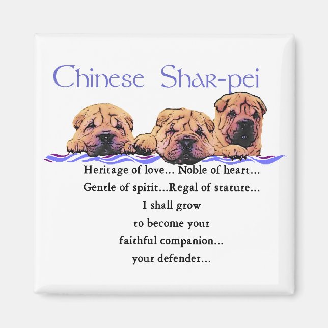 Aimant Cadeaux chinois Shar-pei (Devant)