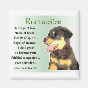 Aimant Cadeaux d'amants de rottweiler