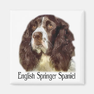 Aimant Cadeaux d'English Springer Spaniel
