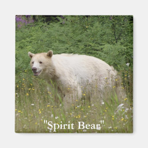Aimant Cadeaux d'ours d'esprit