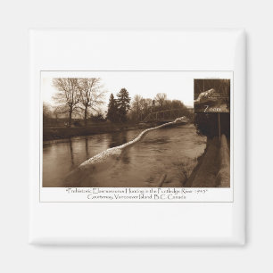 Aimant Cadeaux Elasmosaurus