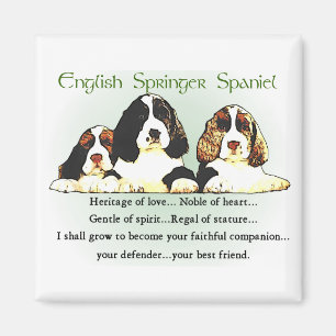 Aimant Cadeaux espagnols Springer anglais