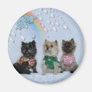 Aimant Cairn Terriers dans l'aimant de pluie