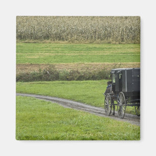 Aimant Calèche amish sur une allée de ferme, Ohio du Nord