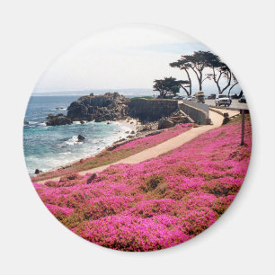 Aimant Calif Pacific Grove-Monterey
