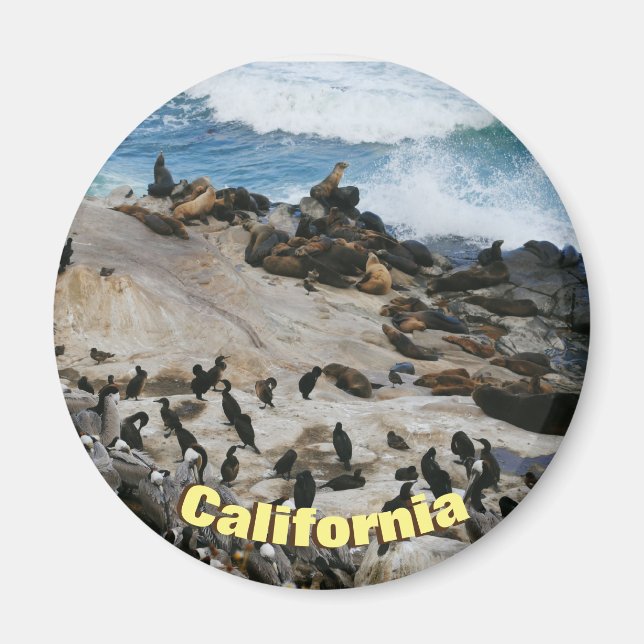 Aimant California Beach (Devant)