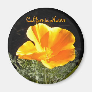Aimant California Native