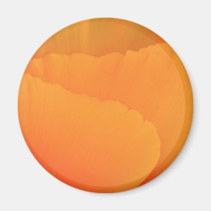Aimant California Poppy