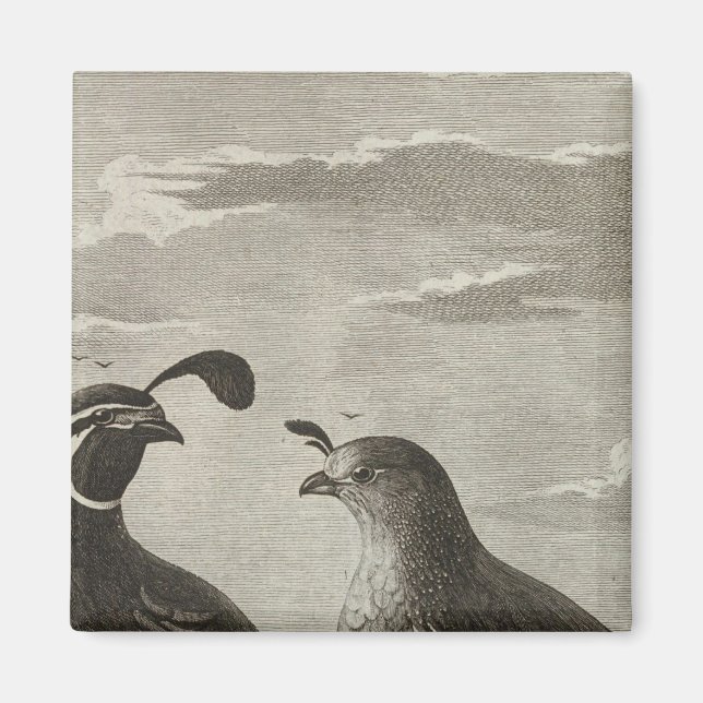 Aimant Californie (Devant)