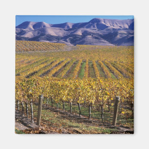 Aimant Californie, comté de San Luis Obispo, vallée d'Edn