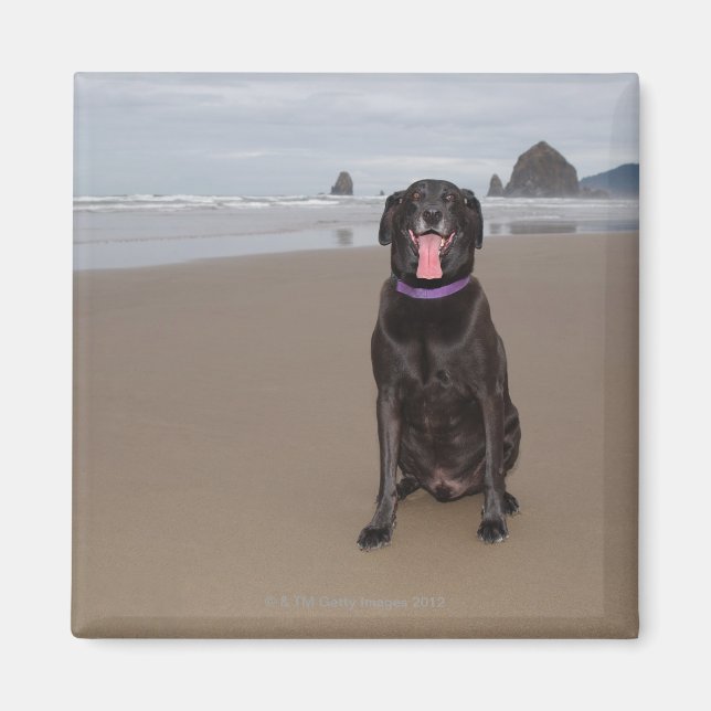 Aimant Californie, États-Unis (Devant)