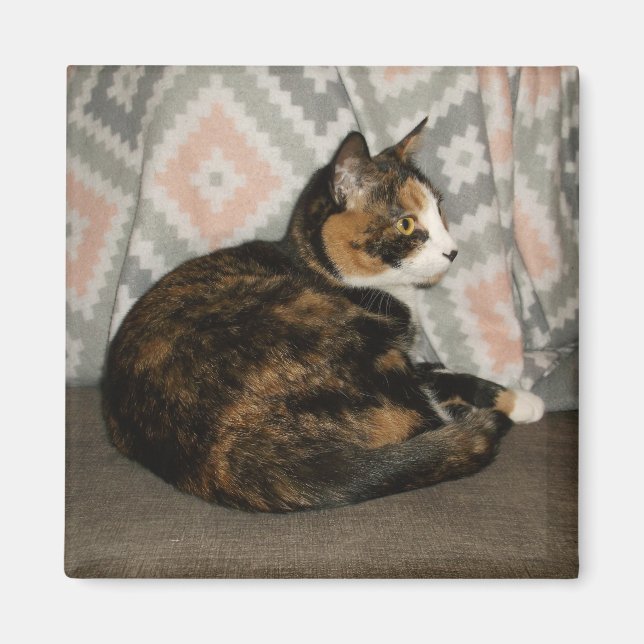 Aimant Callie Cat sur Sofa (Devant)
