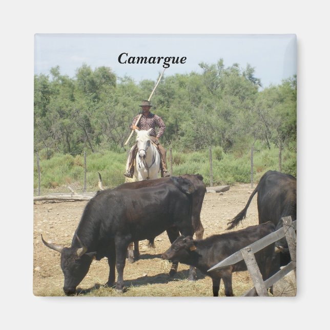 Aimant Camargue - (Devant)