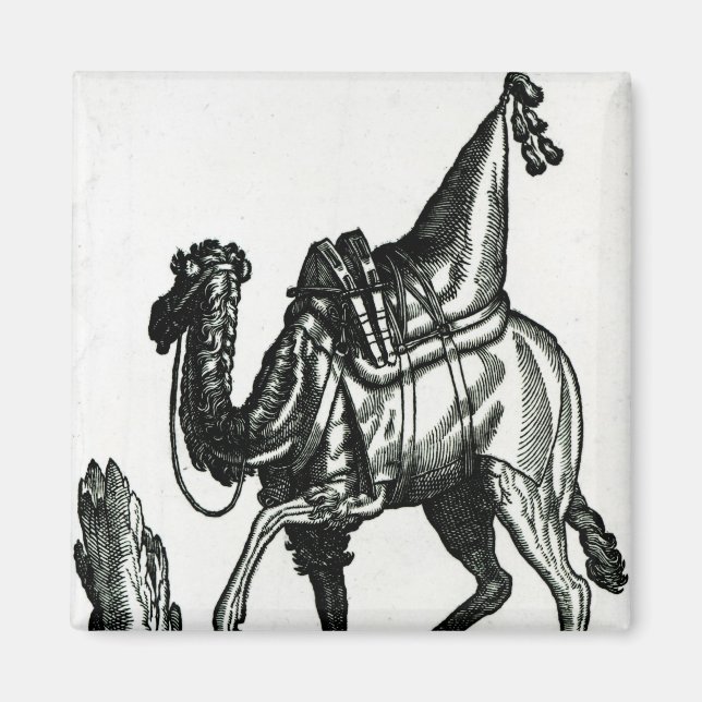 Aimant Camel (Devant)