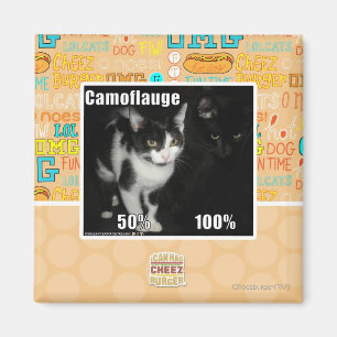 Aimant Camouflage