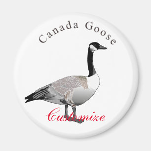 Aimant Canada Goose Gander Thunder_Cove