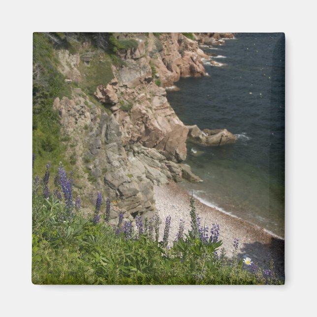 Aimant Canada, Nouvelle-Écosse, Île du Cap-Breton, Cabot  (Devant)