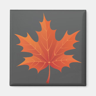 Aimant Canadian