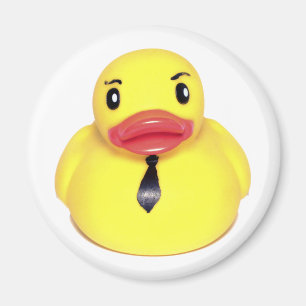 Aimant Canard