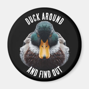 Aimant Canard autour et découvrez amusant canard fou