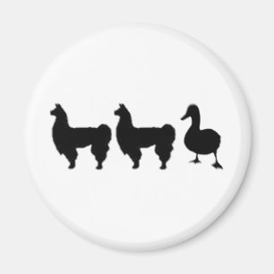 Aimant Canard de lama de lama