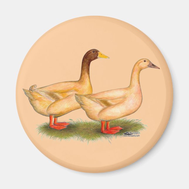 Aimant Canards : Buff Orpington (Devant)