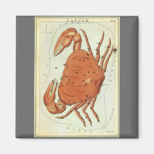 Aimant Cancer Crabe Constellation Vintage, Miroir d'Urani