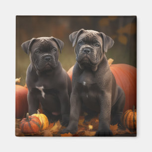 Aimant Cane Corso Chiot Automne Citrouille de plaisir