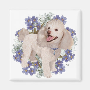 Aimant Caniche