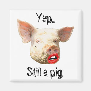 Aimant Canne à lèvres sur un porc