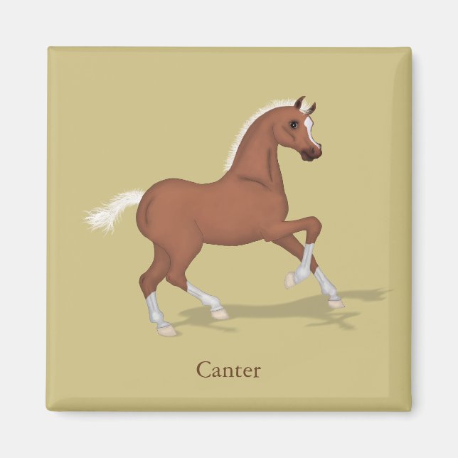Aimant Cantonner les gourmandises du cheval en fût de Sor (Devant)