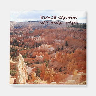 Aimant Canyon Ampitheater de Bryce