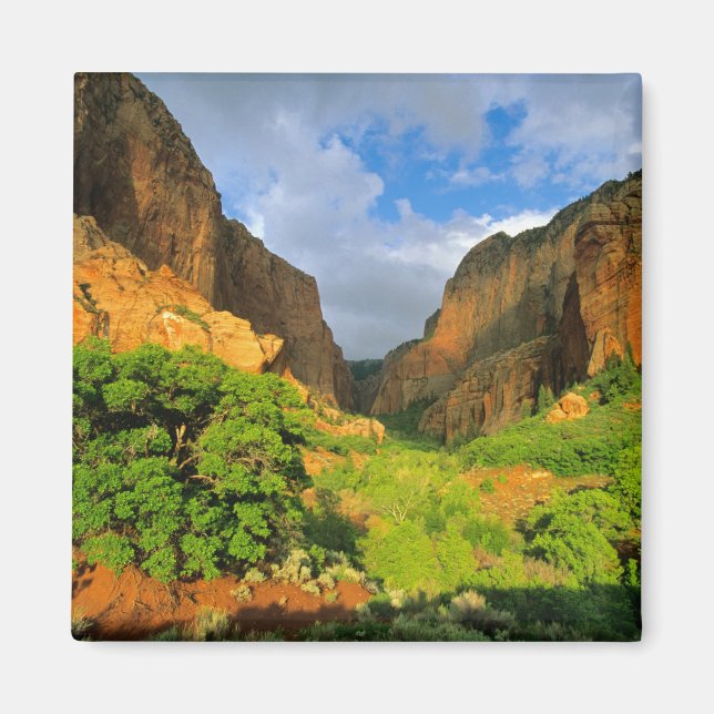 Aimant Canyon Kolob à Zion Canyon à Zion National (Devant)